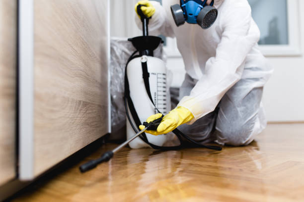 Best Commercial Pest Control Services  in Good Hope, CA