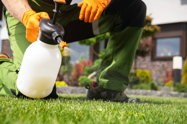 Best Wasp Removal Services  in Good Hope, CA