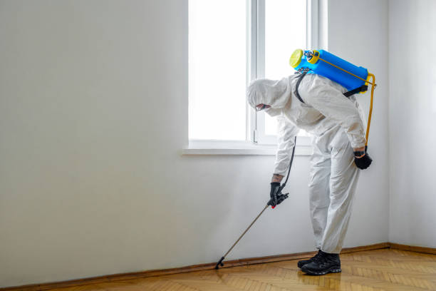 Best Exterminator Services  in Good Hope, CA