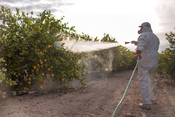Best Rodent Control Near Me  in Good Hope, CA