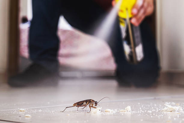 Best Flea Control Services  in Good Hope, CA