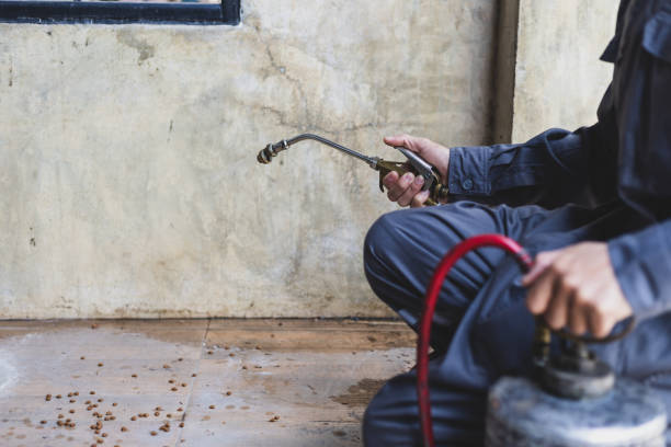 Best Flea Control Services  in Good Hope, CA